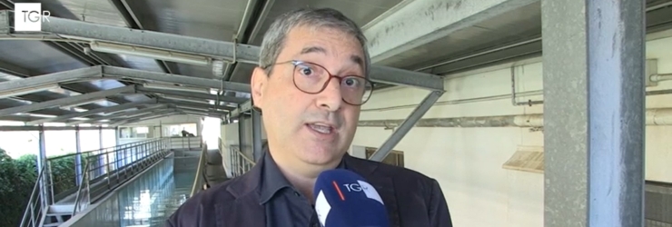 Erosione delle coste; il prof. Giuseppe Ciraolo al TGR Sicilia di Rai3