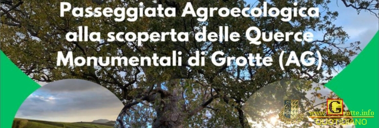 Passeggiata agroecologica tra le querce monumentali