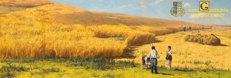 Campo di grano